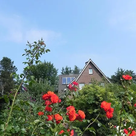 Haus *ueues Aran* Nr. 5 Apartament Nebel